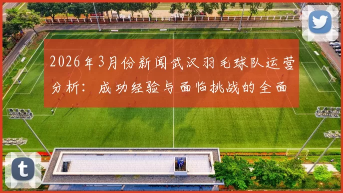 2026年3月份新闻武汉羽毛球队运营分析：成功经验与面临挑战的全面探讨